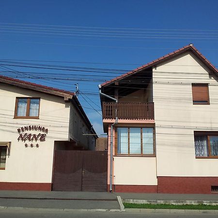 Pensiunea Nane Sibiu Exteriér fotografie