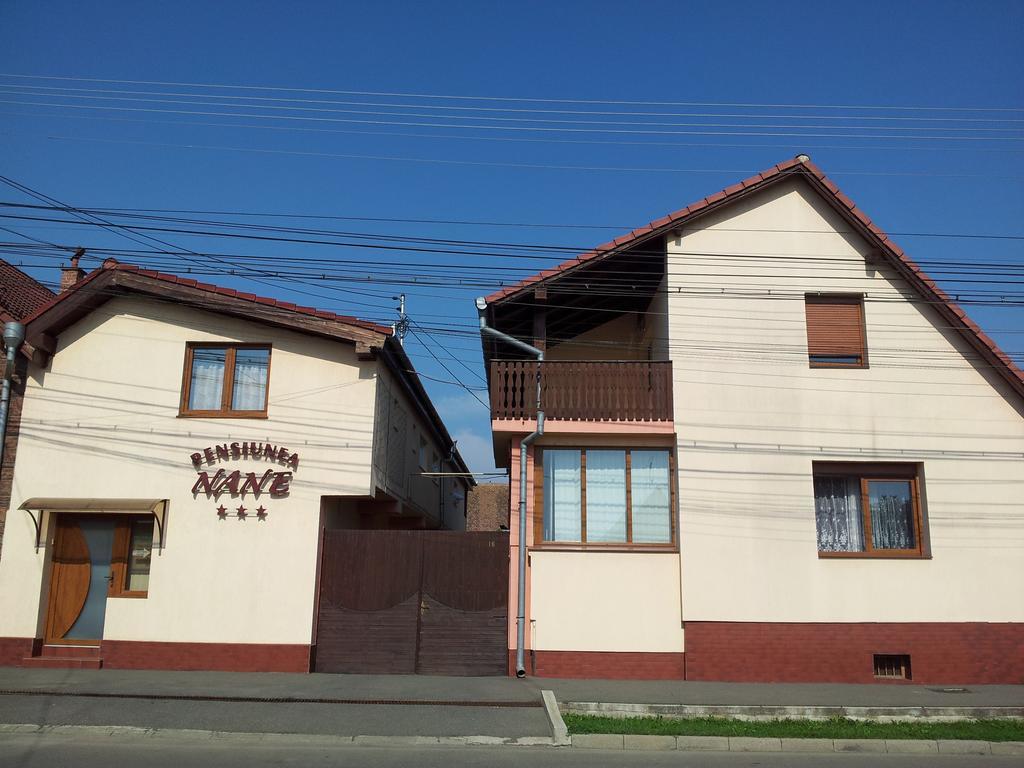 Pensiunea Nane Sibiu Exteriér fotografie